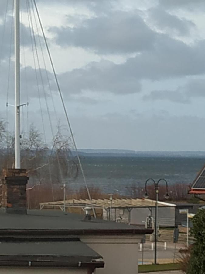 Konik Morski Jastarnia Exteriör bild